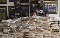 Cảnh sát Bolivia thu giữ gần 8 tấn cocaine