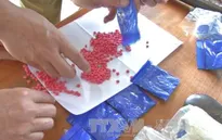 Bắt vụ vận chuyển 12.000 viên ma túy tổng hợp tại Thanh Hóa
