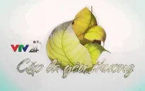Cặp lá yêu thương viết tiếp ước mơ đến trường cho 52 em nhỏ ở Khánh Hòa