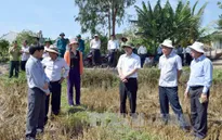 Bộ trưởng Cao Đức Phát kiểm tra công tác chống hạn Kon Tum