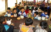 Nghệ An: Xã hội hóa bữa ăn bán trú cho học sinh miền núi