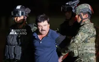 Tổng thống Mexico ca ngợi lực lượng cảnh sát sau vụ bắt trùm ma túy