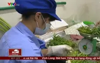 Quy trình sản xuất thực phẩm sạch online gây sốt trên thị trường