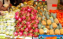 Xuất khẩu nông lâm thủy sản đạt 32,1 tỷ USD trong năm 2016