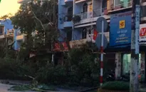 TP.HCM: Mưa lớn kèm giông lốc, nhiều cây xanh gãy đổ