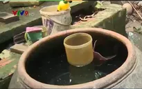 TP.HCM phòng chống Zika, đẩy mạnh thăm khám cho thai phụ
