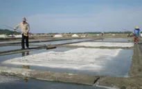 Bao giờ muối ở ĐBSCL mới hết vị đắng?