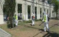 Argentina nỗ lực ngăn chặn bệnh sốt xuất huyết