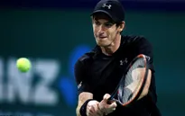 Dễ dàng vượt qua Goffin, Murray thẳng tiến vào bán kết Thượng Hải Masters