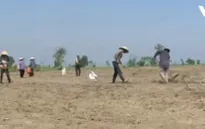Kon Tum: Thiệt hại gần 160 tỷ đồng do hạn hán