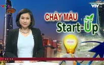 Start-up Việt Nam đổ xô sang Singapore khởi nghiệp
