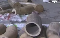 Bắt giữ đối tượng vận chuyển 550kg ngà voi