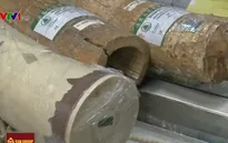 Hong Kong, Trung Quốc lên kế hoạch cấm hoàn toàn buôn bán ngà voi