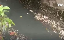 Nhiều giải pháp chống ngập mùa mưa bão tại TP.HCM