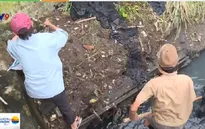 Người dân TP.HCM chung tay khơi thông kênh rạch chống ngập