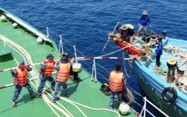 10 ngư dân tàu cá ĐNa 90767 TS gặp nạn đã cập cảng an toàn