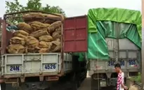 Bắt 37 tấn nguyên liệu thuốc lá nhập lậu từ Trung Quốc