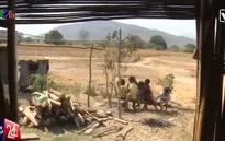 Nắng hạn kéo dài, cuộc sống của người dân Ninh Thuận khốn khó