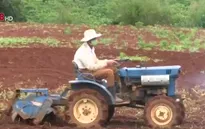 Lâm Đồng: Khó khăn về cơ giới hóa nông nghiệp