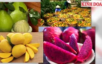 Nông sản Việt mải mê số lượng, “quên” làm thương hiệu?