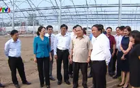 Hải Phòng cần mở rộng nông nghiệp kỹ thuật cao