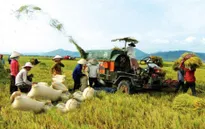 Lợi ích từ hợp tác nông nghiệp Việt Nam - Philippines