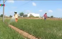 Nông dân ĐBSCL lo cạn kiệt nguồn nước ngầm tầng nông