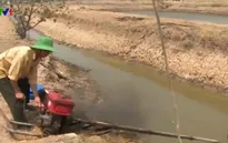 Cà Mau công bố thiên tai đối với nuôi trồng thủy sản