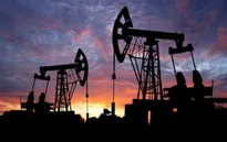 Saudi Arabia: Giá dầu sẽ lên mức 60 USD/thùng trong năm nay