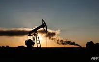 Giá dầu châu Á tăng cao nhất 6 tuần sau quyết định cắt giảm sản lượng của OPEC