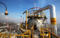 Giá dầu giảm ‎sau quyết định cắt giảm sản lượng của OPEC