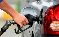 Nghệ An: 123 cửa hàng xăng dầu chưa đủ điều kiện kinh doanh