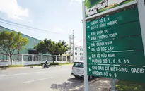 Hàng loạt đại gia Singapore rót vốn vào Việt Nam