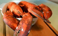 Những món hải sản chỉ dành cho giới nhà giàu
