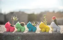 Đưa Pokémon vào không gian xanh trong nhà
