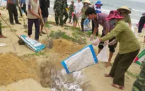 Thủ tướng ban hành định mức bồi thường thiệt hại do sự cố môi trường biển
