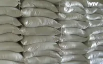 Quảng Bình hỗ trợ 1.500 tấn gạo cho người dân vùng lũ