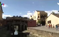 Quảng Nam thất thu do tình trạng du lịch "chui"