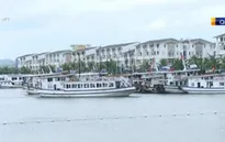 Quảng Ninh, Hải Phòng và Thái Bình chuẩn bị ứng phó bão số 1