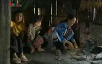 Cuộc sống "chạy ăn từng bữa" của 5 mẹ con người dân tộc thiểu số