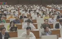 Đại biểu QH chỉ ra hạn chế của chương trình xây dựng nông thôn mới