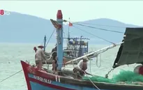 Ngư dân thoát chết trong bão Chanchu vẫn kiên cường bám biển