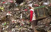 Hàng triệu tấn rác thải ra môi trường thế giới mỗi ngày