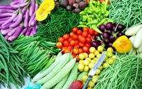 TP.HCM: Giám sát tem truy xuất nguồn gốc rau củ như thế nào?