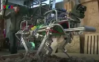 Robot giúp khắc phục hậu quả động đất