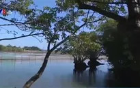 Người đàn ông 30 năm âm thầm giữ rừng Rú Chá