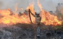 Điểm lại những vụ cháy rừng gây thiệt hại lớn trên thế giới