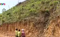 Thủ tướng chỉ đạo đóng tất cả cửa rừng tự nhiên