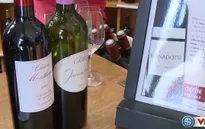 L’Intendant – thương xá rượu vang nổi tiếng của Bordeaux