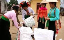 Hỗ trợ gạo cho 2 tỉnh Lào Cai, Quảng Trị